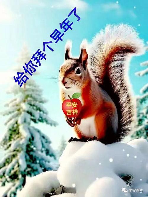 2024年1月1日元旦节早安祝福语图片大全最新龙年新年快乐问候语表情图片
