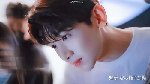 白敬亭图片