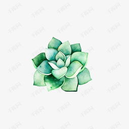 小清新插画广告设计卡通多肉盆栽素材图片免费下载高清png千库网图片编号10514891