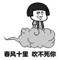 搞笑蘑菇头的心灵毒鸡汤微信qq表情包