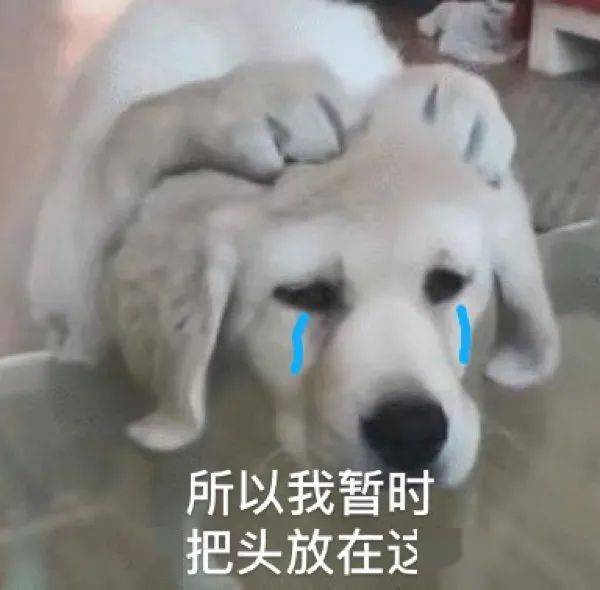 淦,我的假期被篡改了哈哈哈哈细思极恐