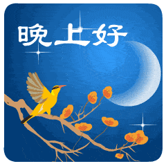 特别漂亮的晚上好动态表情图片,晚安问候语简短句子