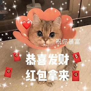 萌宠表情包我们不熟,别这样
