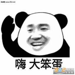 漂亮宝贝不干了图片嗨大笨蛋表情包下载乐游网游戏下载