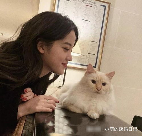 四十多岁的女人,这3种饰品要少戴,显廉价没气质,还被人说装嫩