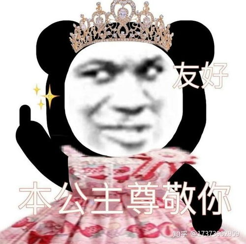 熊猫头公主表情包