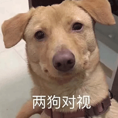 最近流行的沙雕表情包