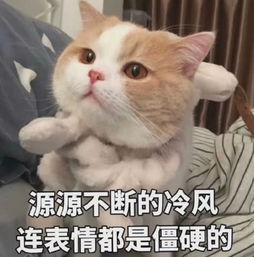 搞笑逗趣专用表情包我仿佛听到你们在背后说我帅
