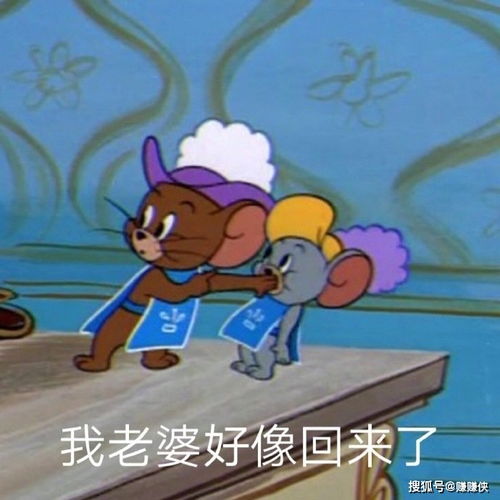 可爱搞笑表情包图片我老婆好像回来了,快