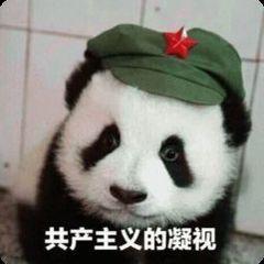 表情包动图搞笑无奈大熊猫