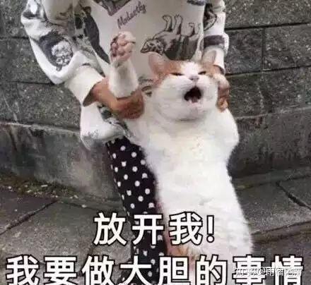 阴阳师有哪些黑话需要萌新了解