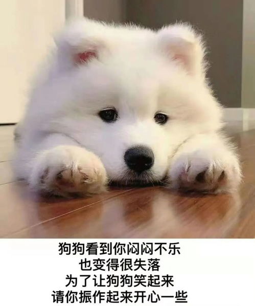 今日热门表情包10.13宝想你想到窒息