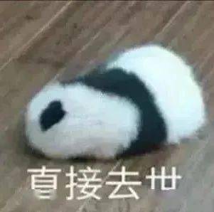 搞笑表情包给你惊喜