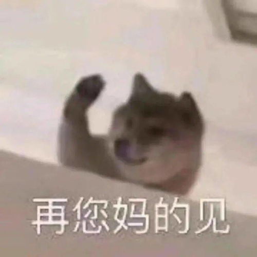 超级搞笑的沙雕表情包