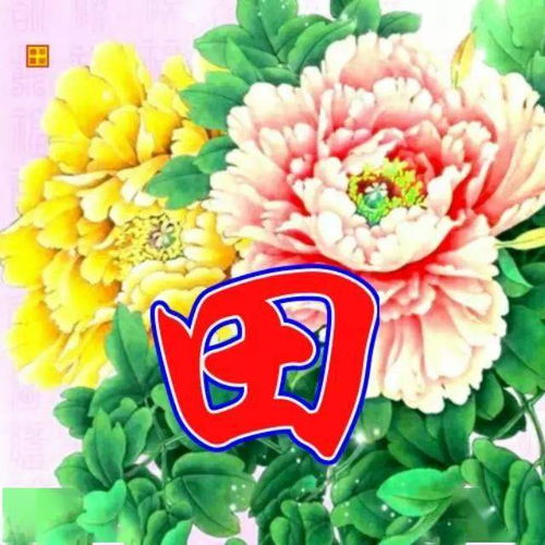 中老年头像大全116张竹报平安姓氏头像,花开富贵竹报平安,梅绽争春鹤鸣延年
