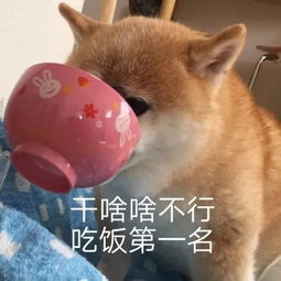 小哥躲在娃娃机里恶搞路人抓娃娃抓到要崩溃了