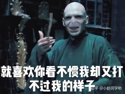 哈利波特伏地魔表情包强劲来袭,爱我你怕了吗