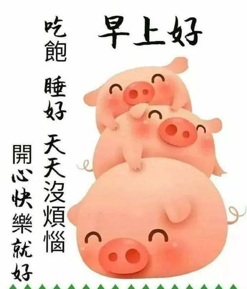 中老年专用表情包最新,乐天随缘,轻松自在