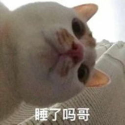 各位钟意熬夜的道滘后生仔女,万万没想到熬夜会甘......