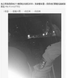 女子晒警车入娱乐场所续当事人否认公车私用