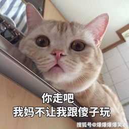 爆笑段子今天找老板辞职,老板说给我涨工资,叫我别走黄色