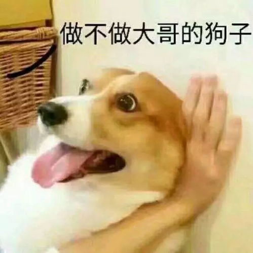 开心一刻马云钱是这个世界上最容易得到的东西