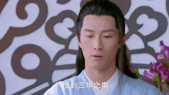 楚乔传阿楚依在,可惜燕洵不再爱笑了