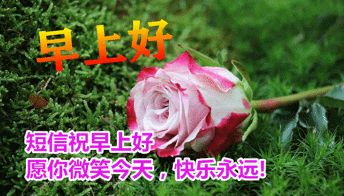 最漂亮早上好动态表情图片大全,早上好动图美图大全
