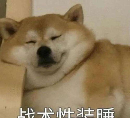 老公和初恋女友的同学聚会后,我和他的幸福生活开始了