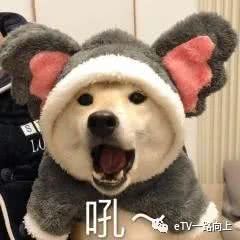 快走出家门搞点美食吃吃吧