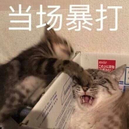 日常沙雕表情包无水印