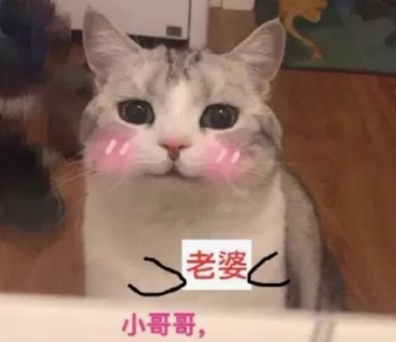 幽默笑话老妈告诉我明天带你去相亲,对方长得又高又帅