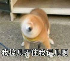 搞笑微信表情做我老婆