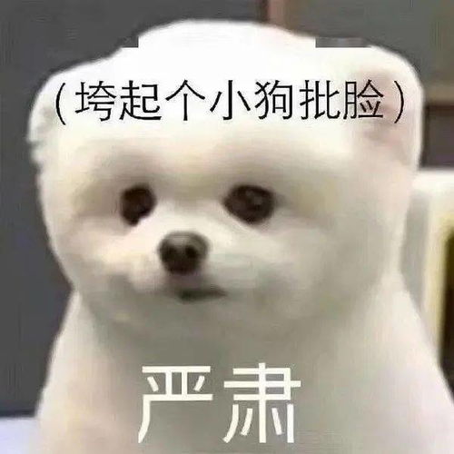 混娱乐圈的还找华农教授联合搞事,这粮想干啥