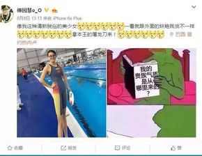 今朝只看傅园慧,从此人间无网红...