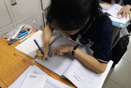 中考上岸重高后,回头看才敢告诉你的几句大实话
