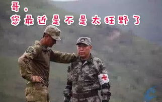 谢楠制作吴京威胁苏大强表情包,配文太搞笑,网友笑到肚子疼