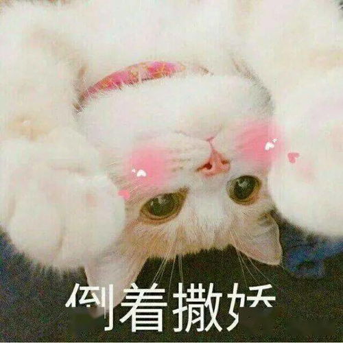 演出回顾泰乐艺声星耀鹿城2021跨年艺术盛典,泰乐相伴未来可期