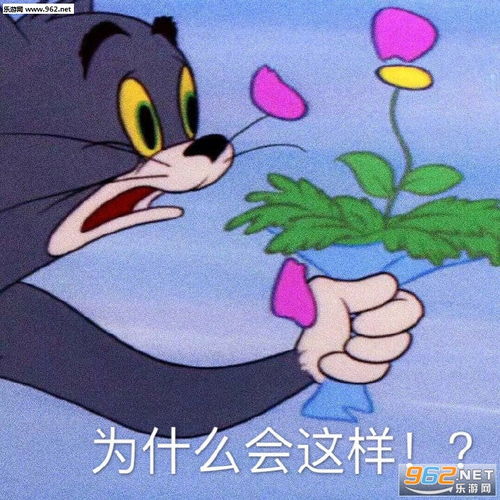 投降别惹老子图片人家就是离不开你的小笨蛋表情包下载乐游网游戏下载