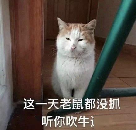 抓紧上海这些网红场馆亲子乐园限时特惠想去的千万不要等