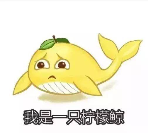 小笼包集体恰柠檬朱一龙我们不搞网恋,请直接奔现