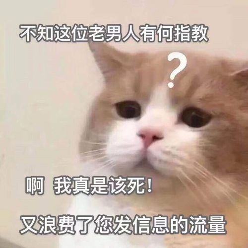 爆笑囧图用毛不易的歌蹦迪,这舞姿太魔性网友喝了一斤