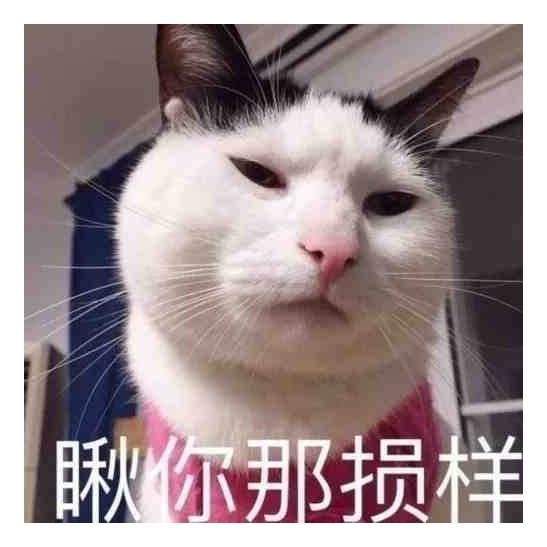 表情包一组有趣的表情包44期