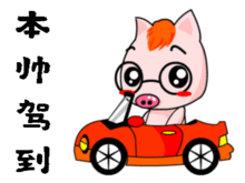 猪的段子和搞笑动图表情包16图