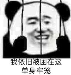 熊猫头搞笑专用表情怎么都没人喜欢我的