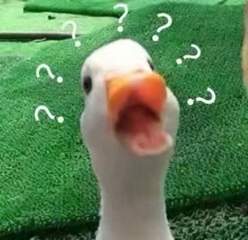 在飞机上被空姐问是你的小黄鸭吗
