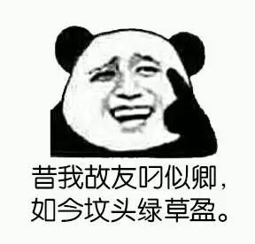 骂人表情图,贱萌贱萌的好喜欢