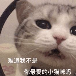 离家出走被抓回来是种什么体验