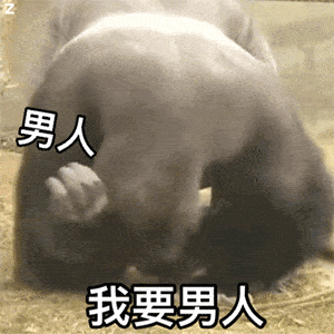 可爱沙雕搞笑表情包快乐回来了