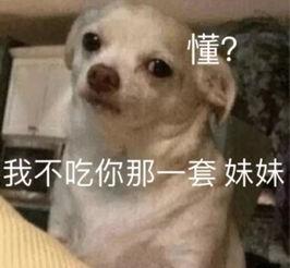 搞笑狗子表情包撩到你了吗,妹妹